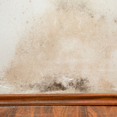 Humidity in the interior masonry of the residence